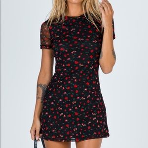 NWT✨Princess Polly Dione Dress